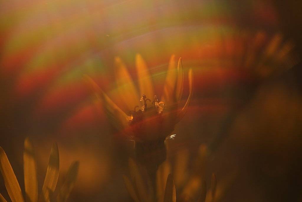 , Сергей Таланов