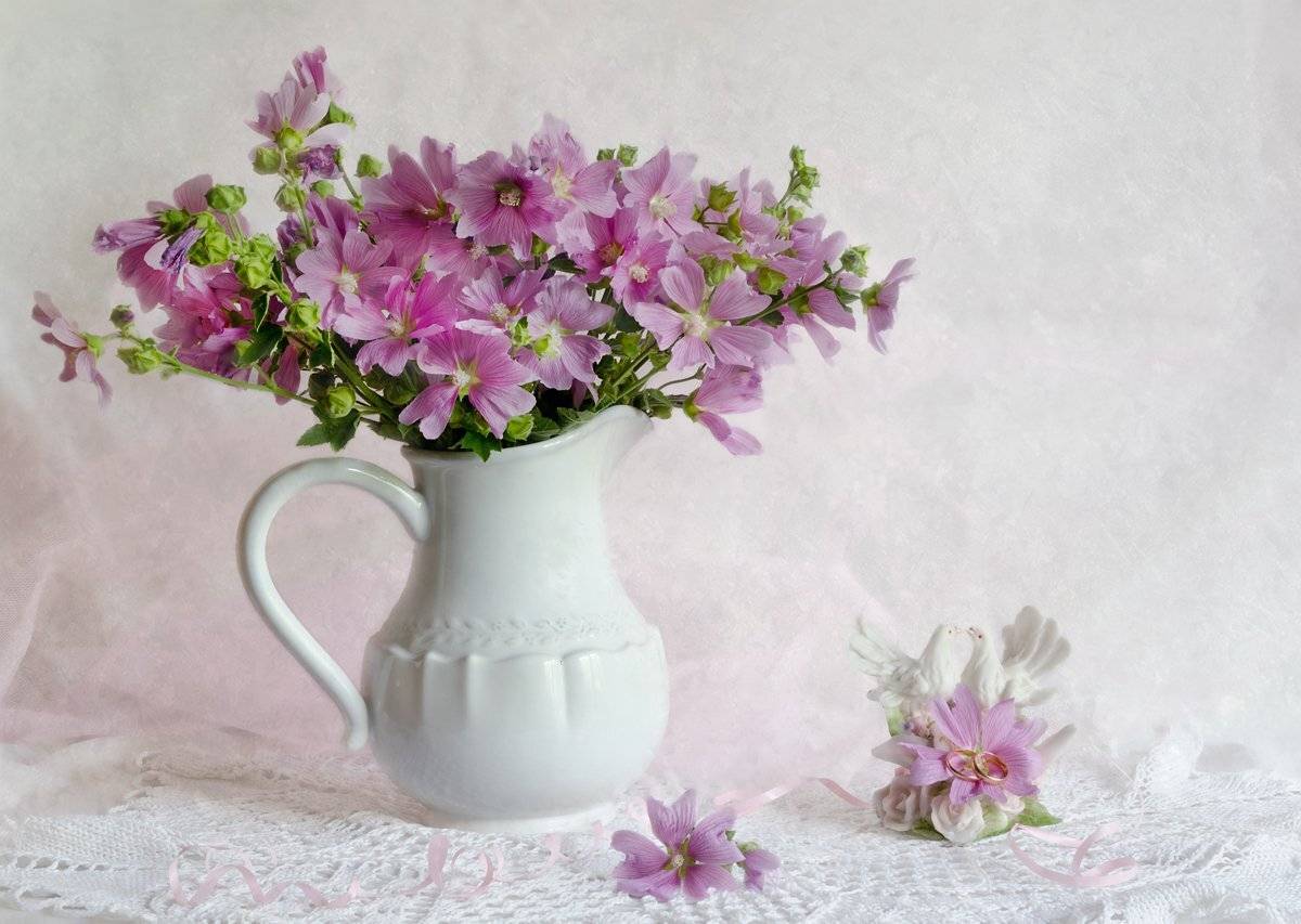 , Елизавета Шавардина