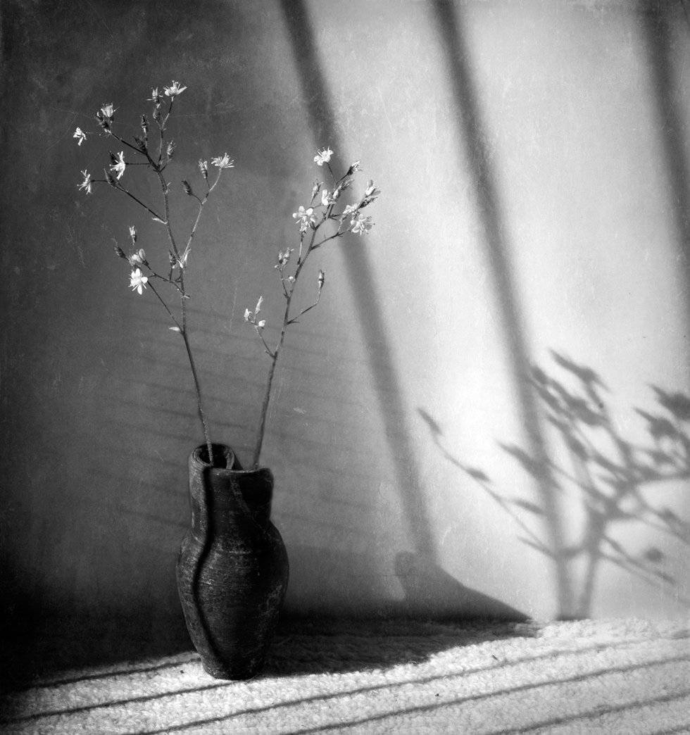 , Людмила Прокофьева