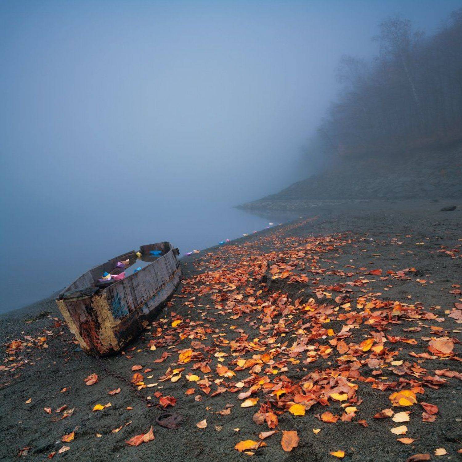 Бумажные кораблики, Кораблики, Листья, Старая лодка, marateaman
