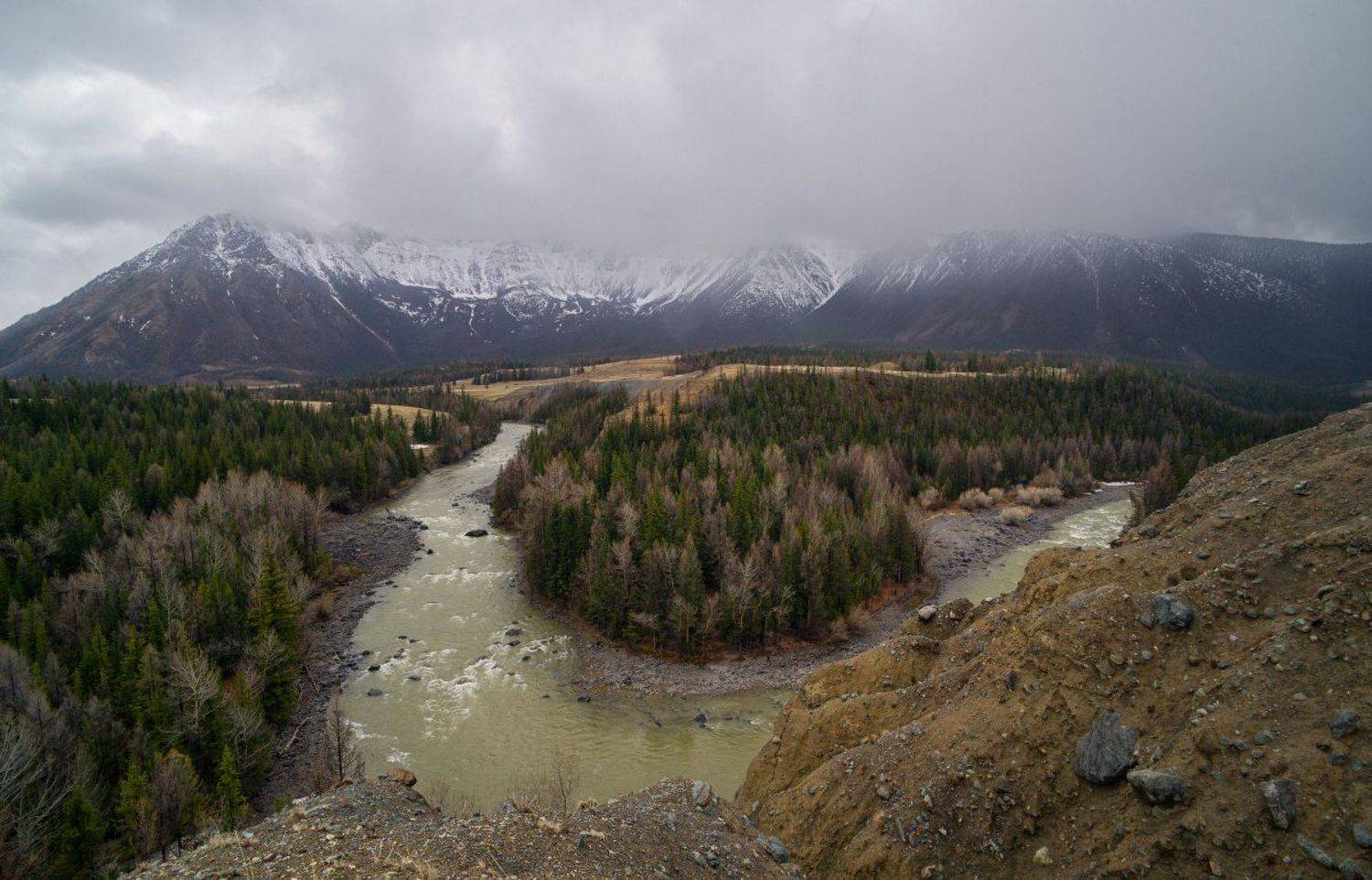 , Николай Ляпин