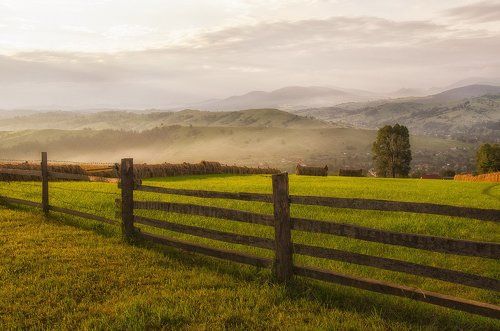 Солнечное утро