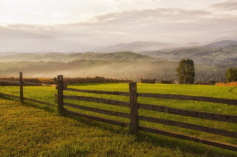 Забор, Пейзаж, Утро Солнечное утро фото превью
