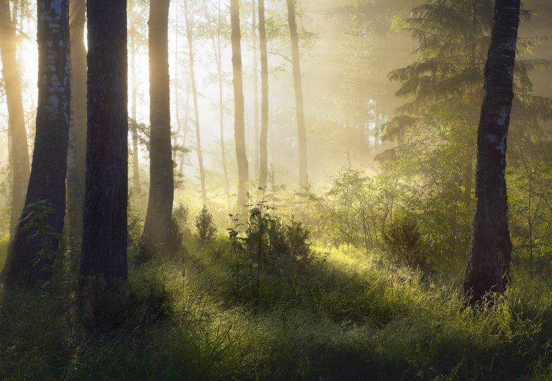 О мощности утренних лучей фото превью