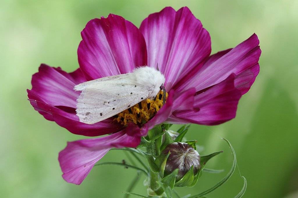 , Сергей Таланов