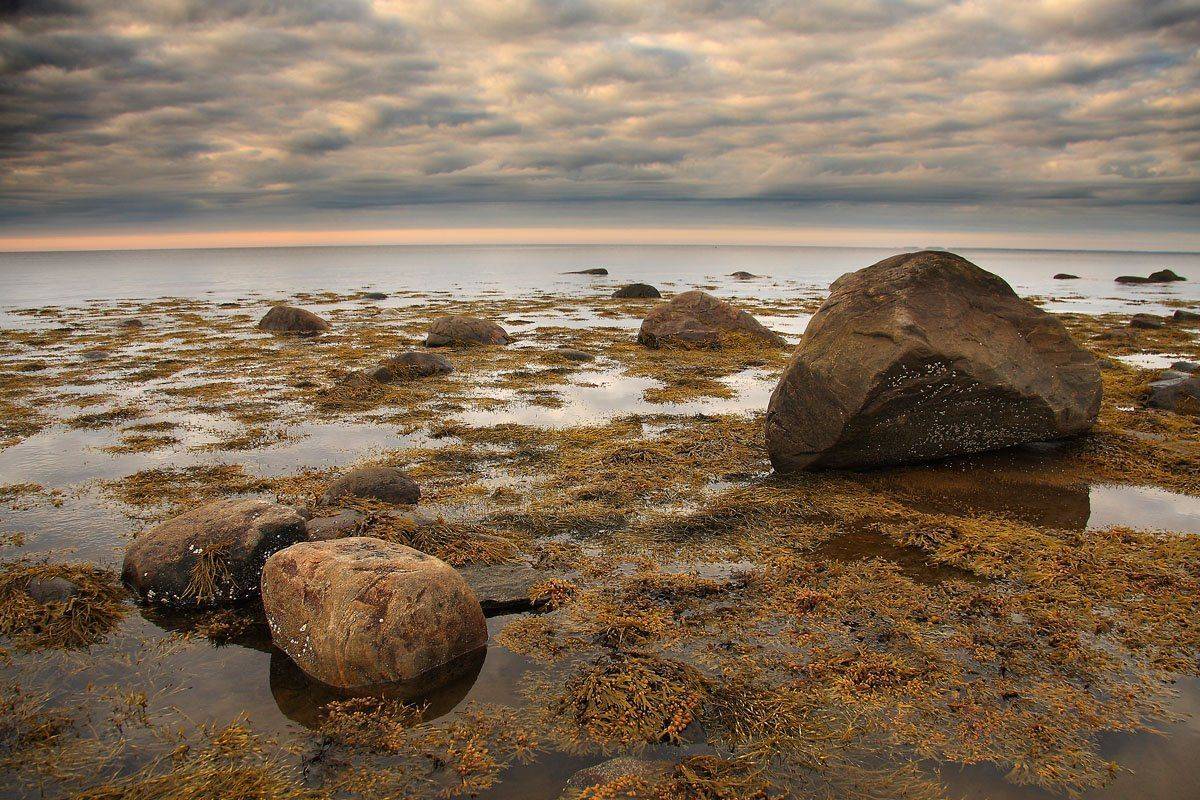 , Александр Коротков