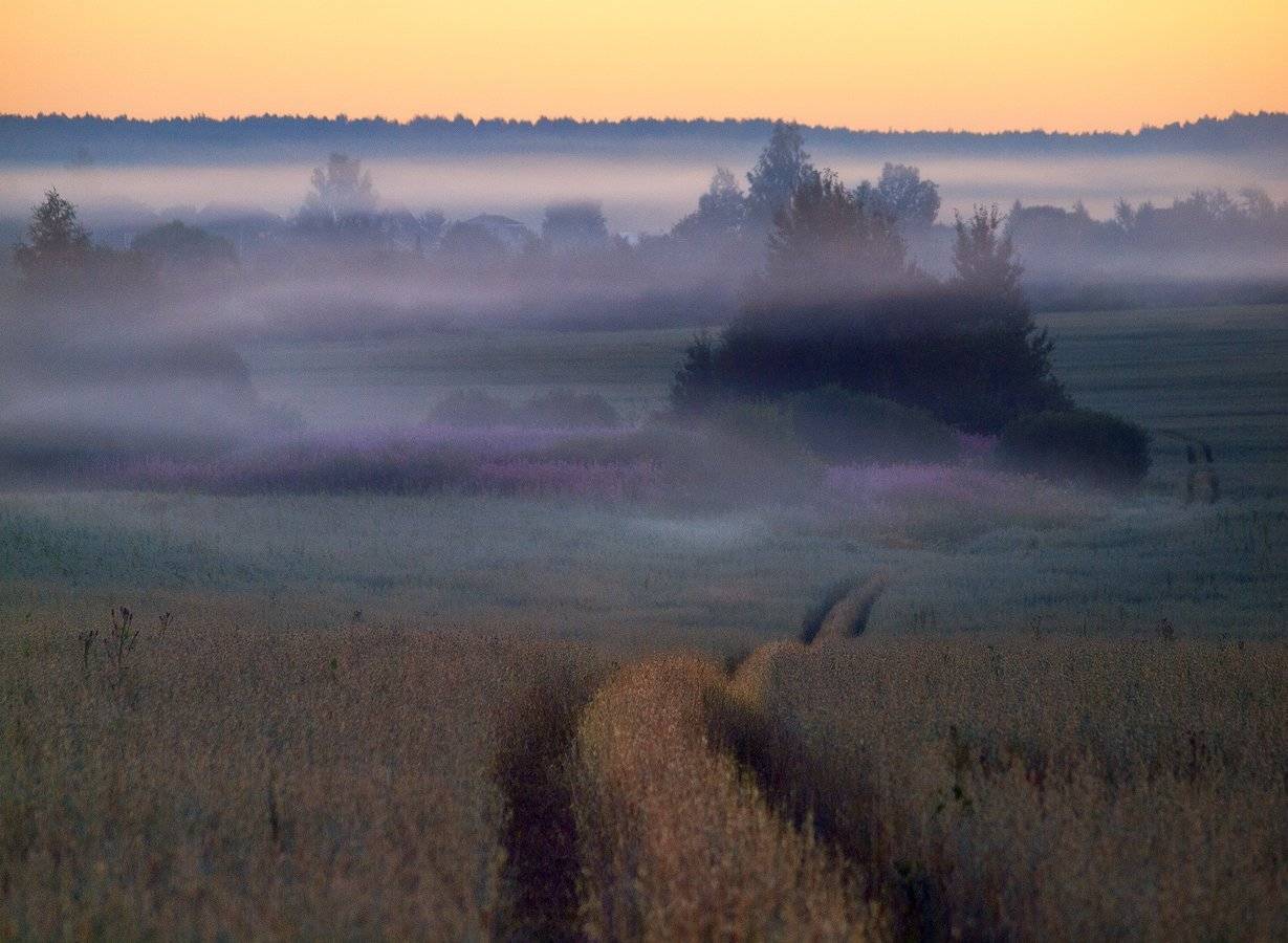 , Владимир Перепечаев