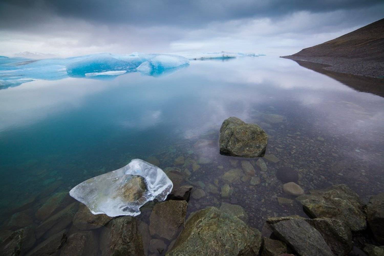 , Алексей Душка