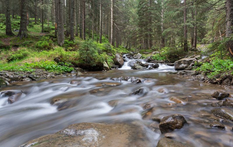 Спускаясь с Говерлы. фото превью