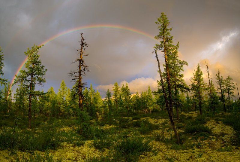 Between Showers фото превью