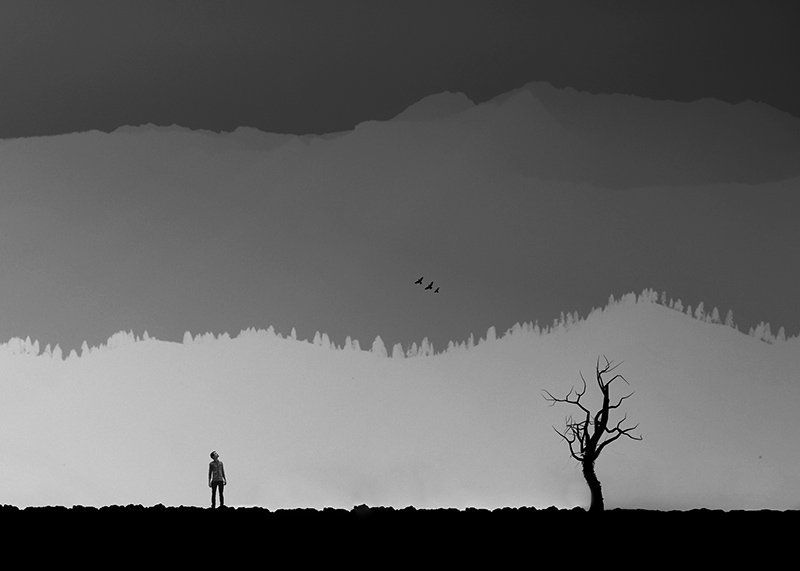 concept, conceptual, fine art, manipulation, human, birds, mountain, milad safabakhsh, black and white Remembrance of Things Past фото превью