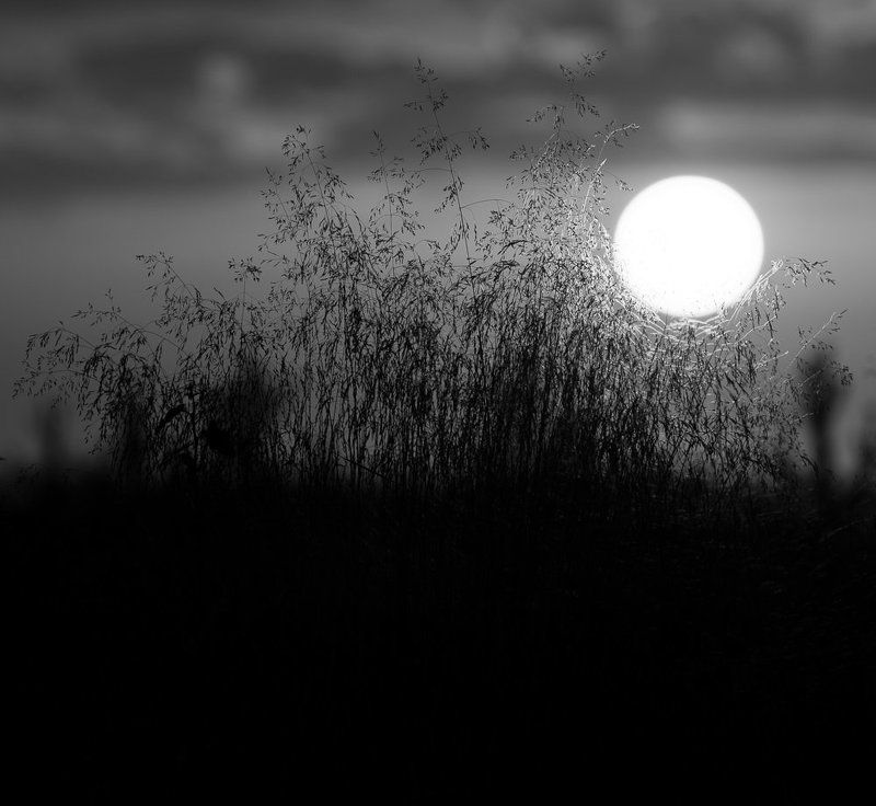 Norway фото превью