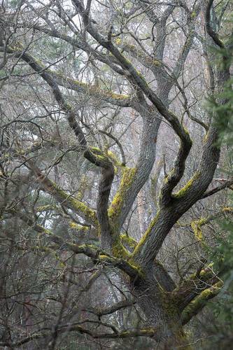 Reaching for the Light