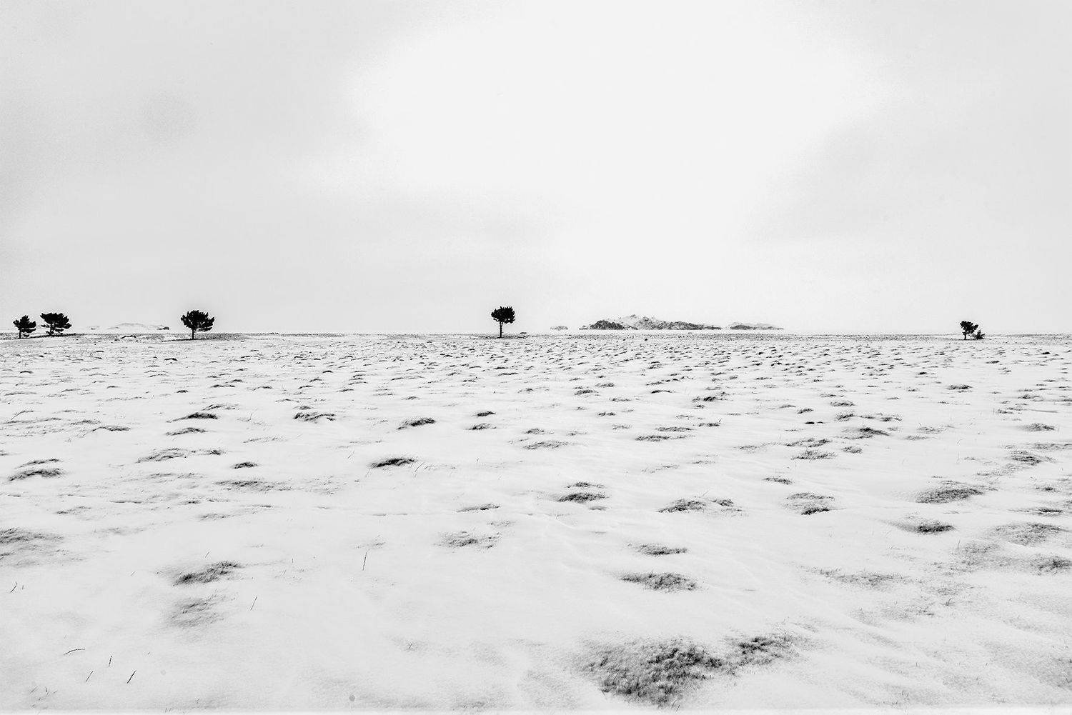 , Маргарита Фискина