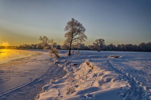 Морозное утро