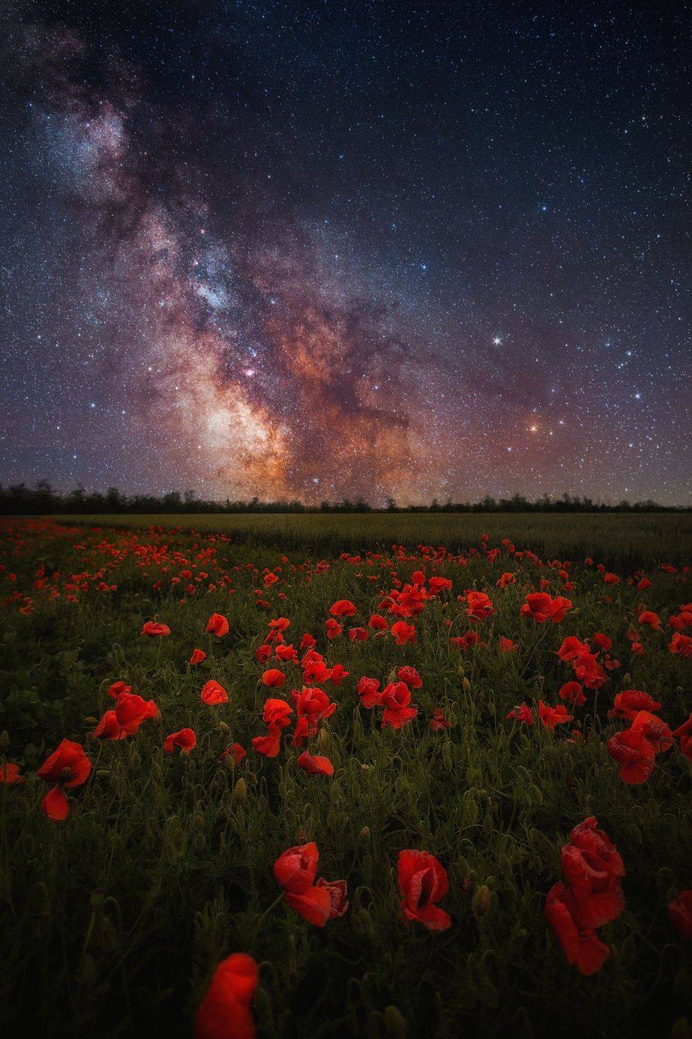 , Павел Сагайдак