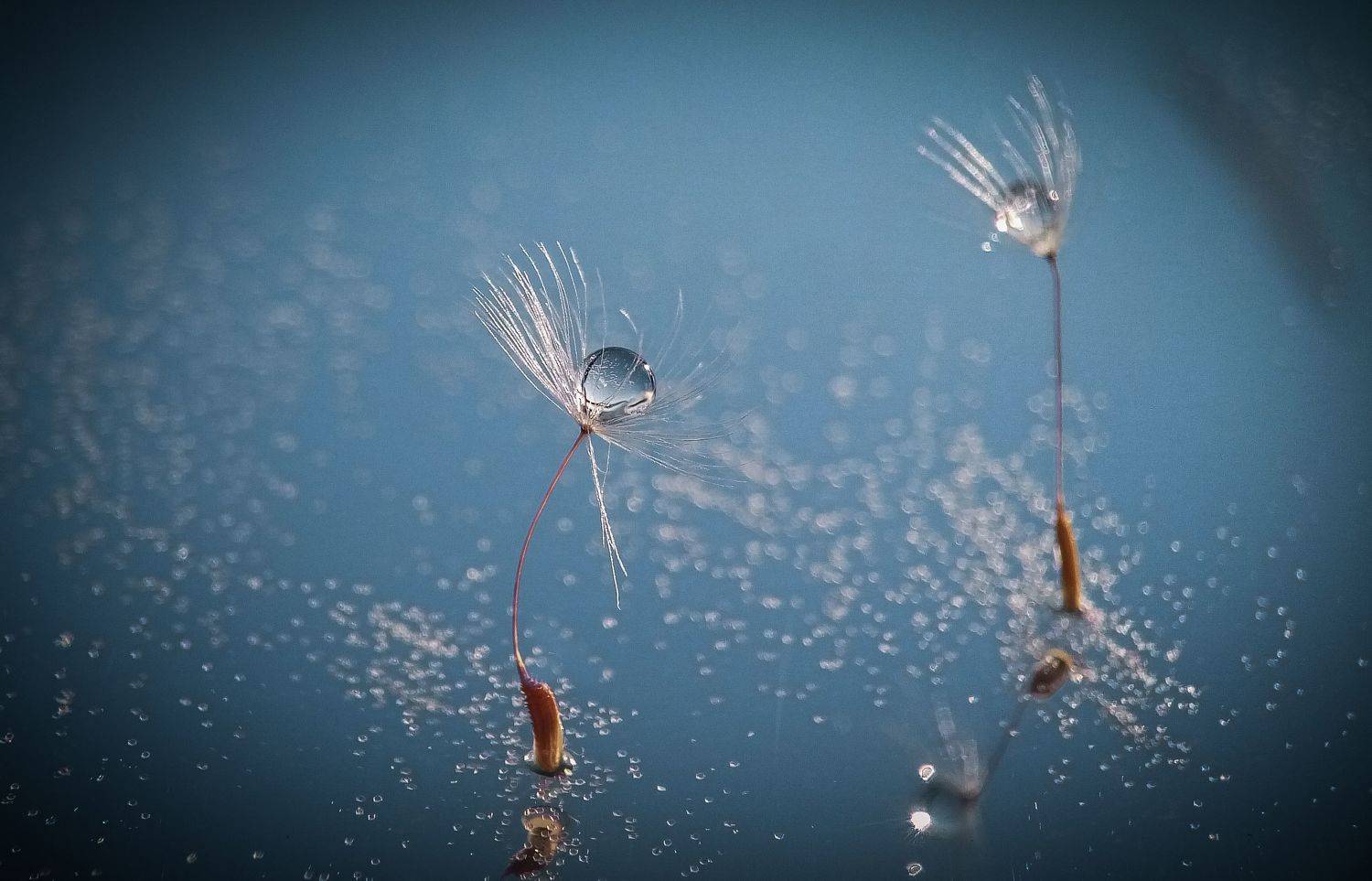 , Наталья Шумилова