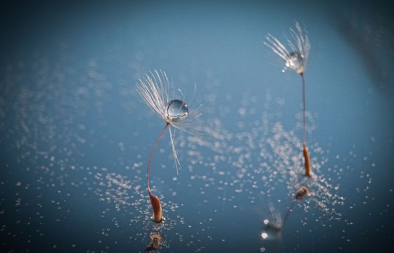 Танцы на льду фото превью