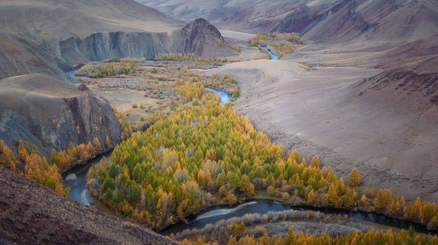 алтай, Александр Писарев