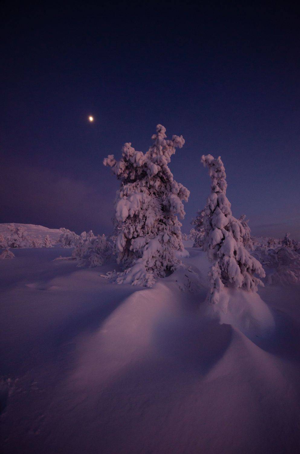 , Абрамов Денис