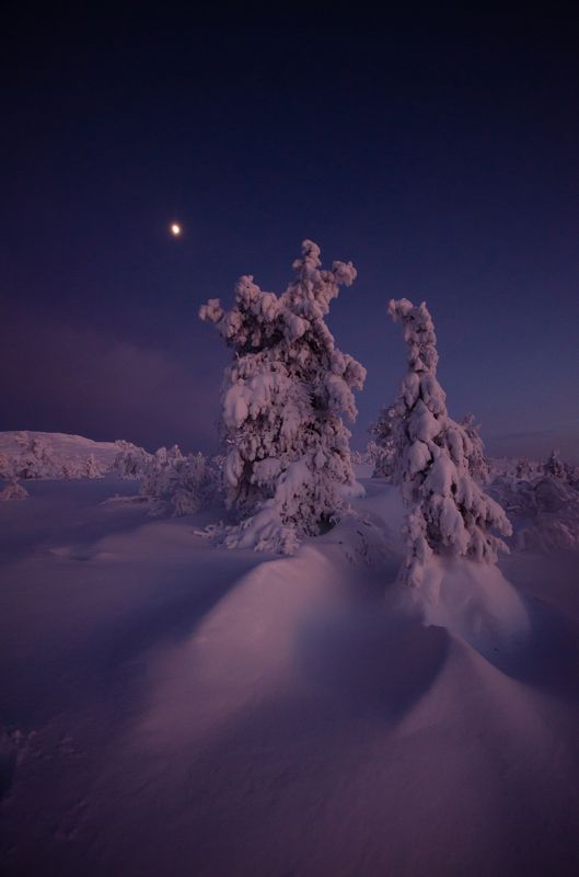 Кандалакша фото превью