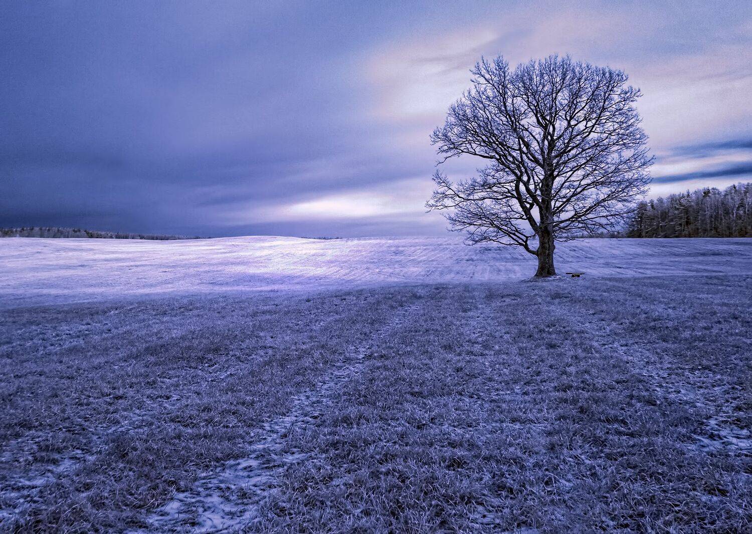 infrared,ик-фото,инфракрасное фото, инфракрасная фотография, пейзаж, осень,  Sixten (Сергей)