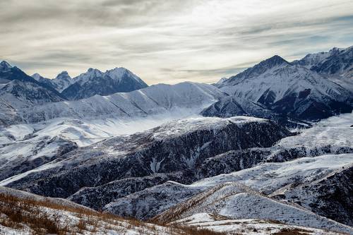 Панорама Кыргызского хребта