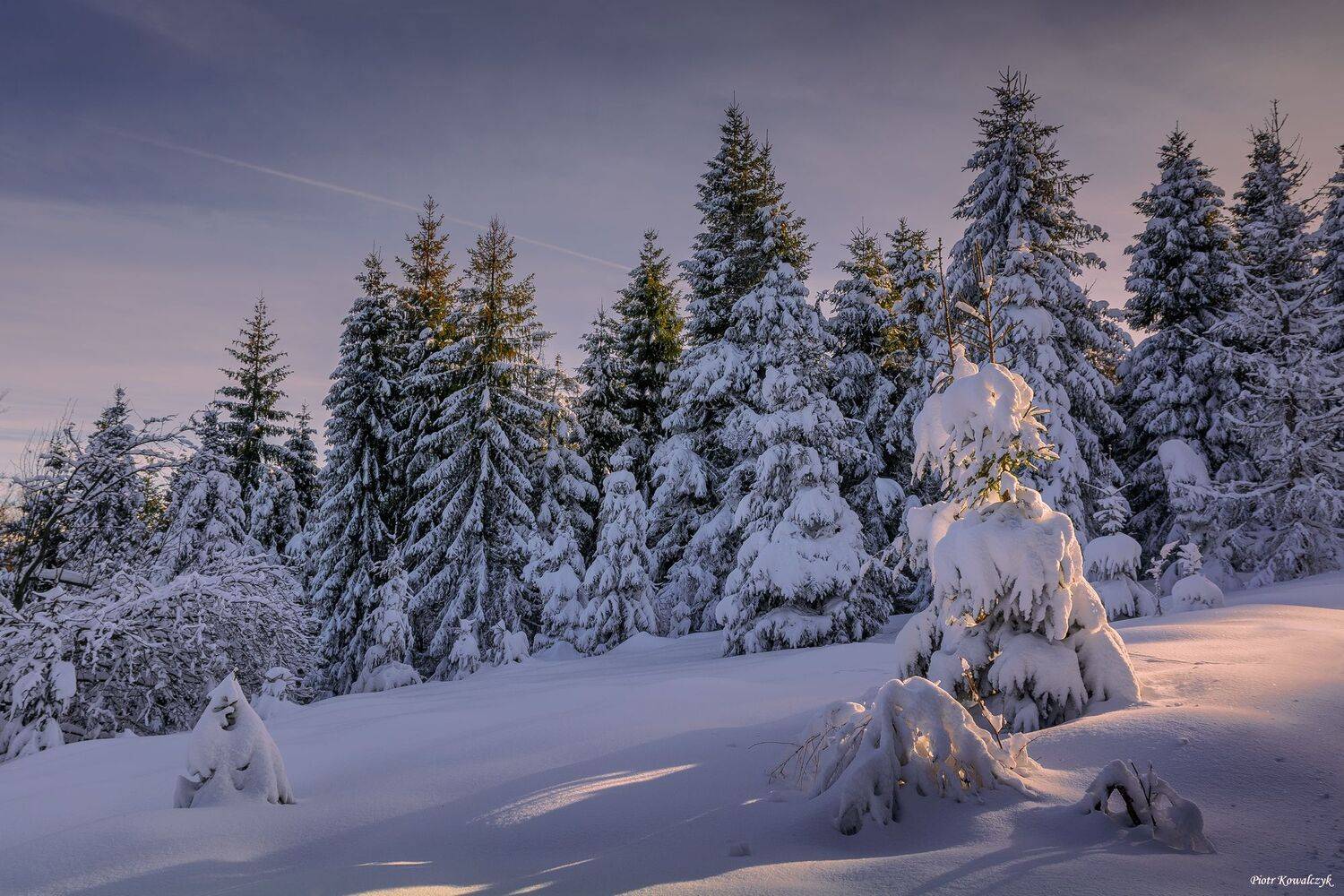 polska, zima, Kowalczyk Piotr