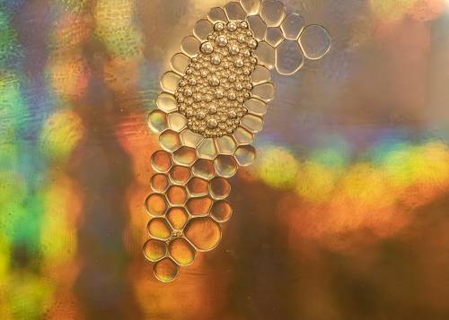 oil and water