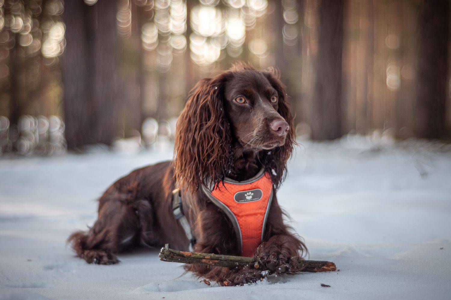 , Динара Зуйкова