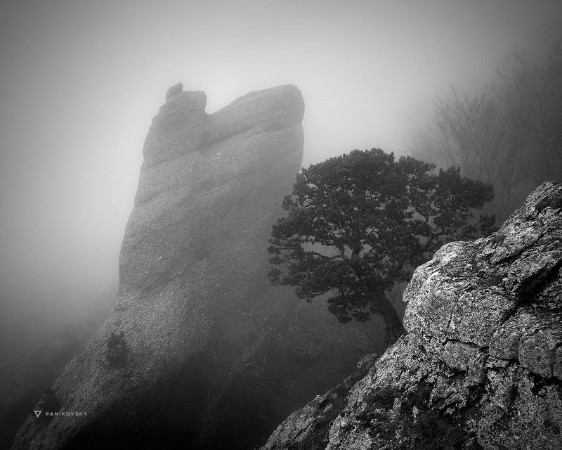 демерджи, туман, скалы, крым, алушта Призрачный город фото превью