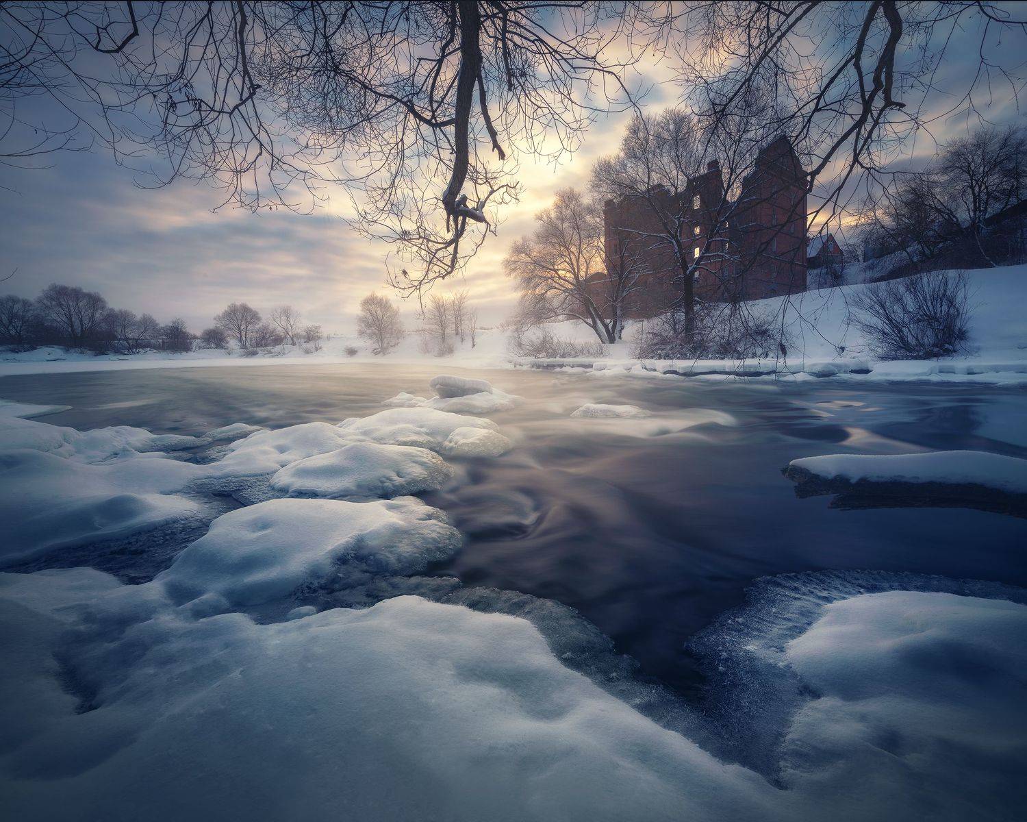 , Анна Политова