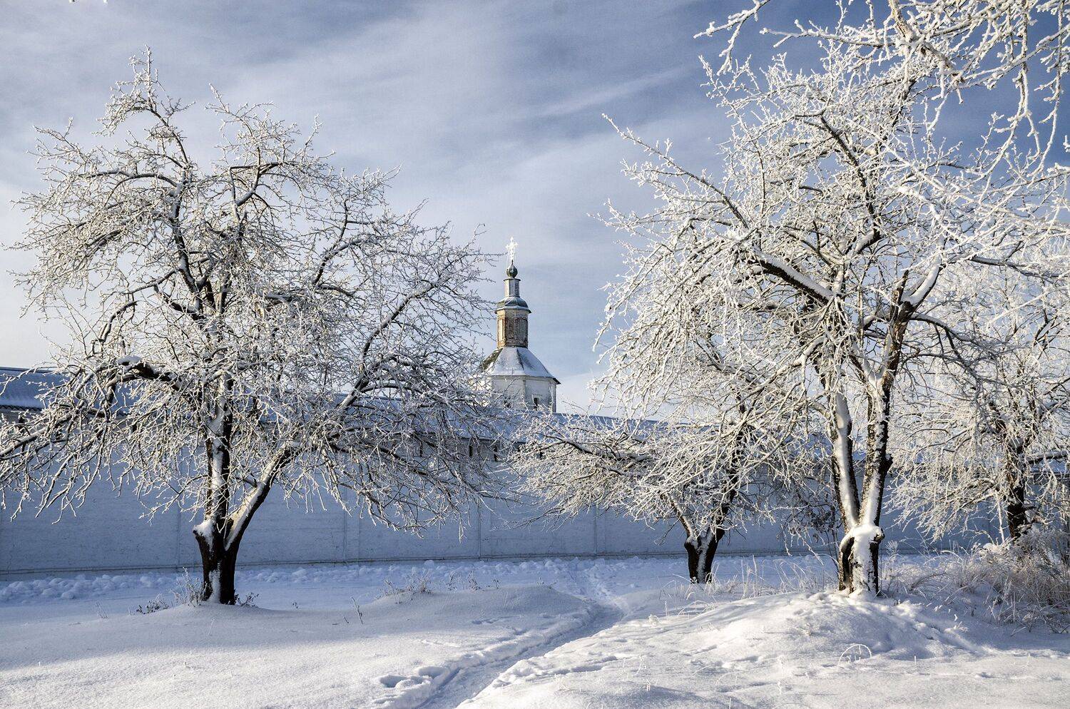 зима андреевский луг свенский монастырь красота иней, Александр Березуцкий