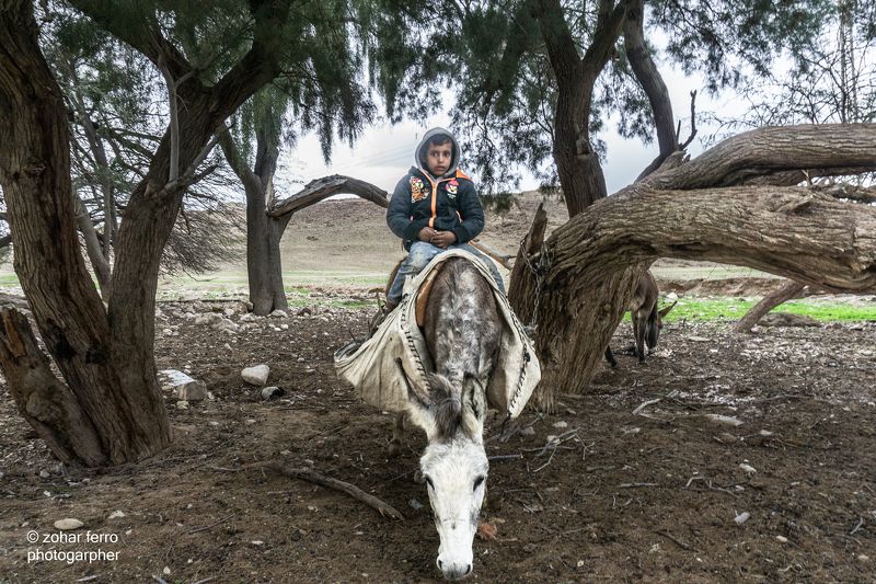 The Bedouin Child Project фото превью