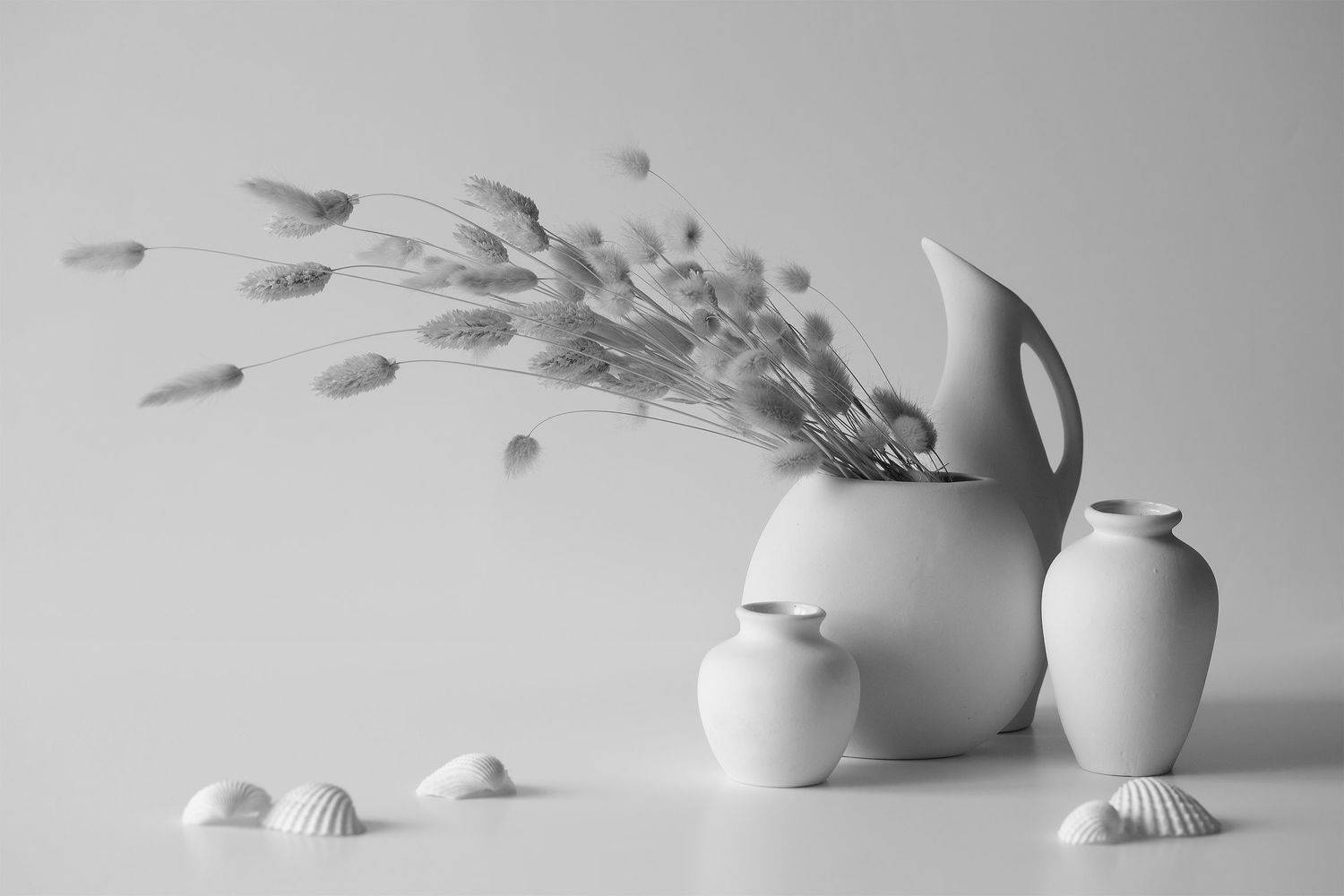 миламиронова, фотонатюрморт, натюрморт, stilllife, сухоцвет, керамика, ваза, ракушка, Мила Миронова