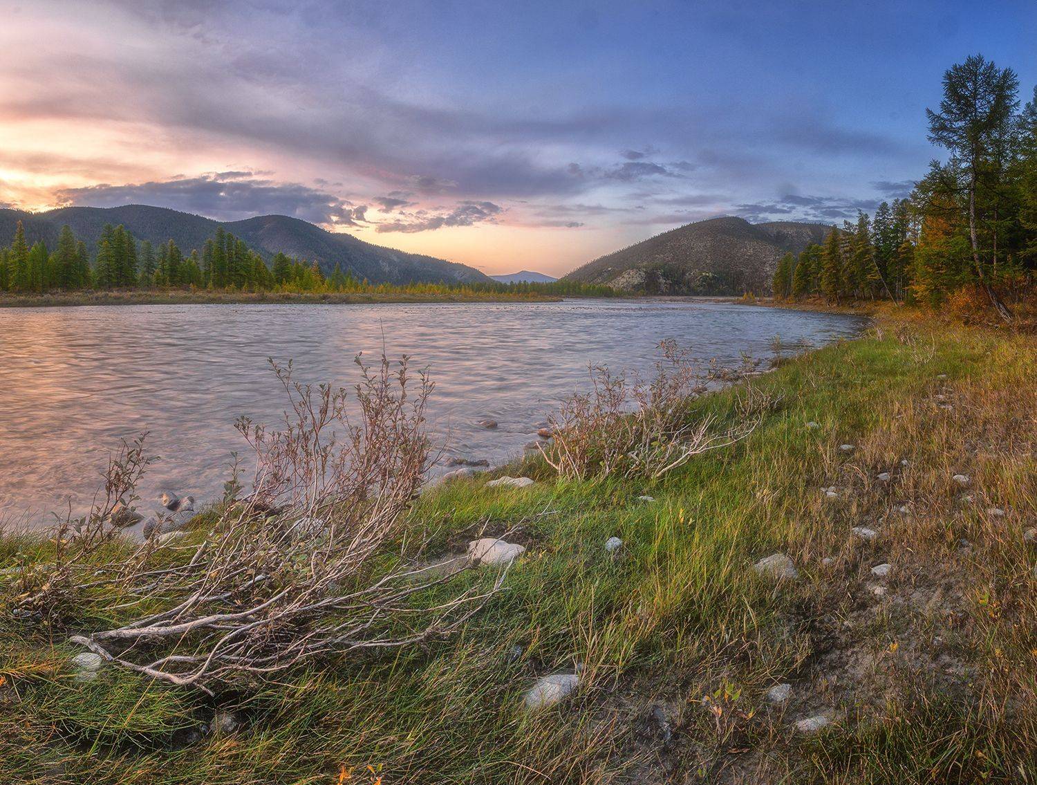 , Николай Андреев