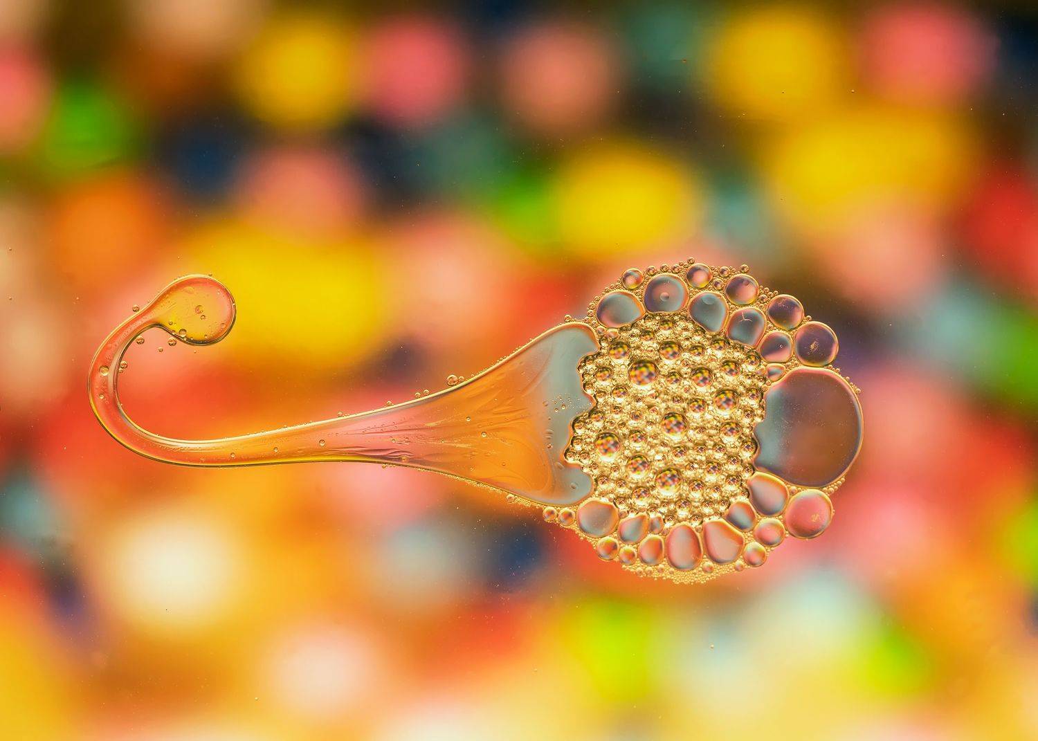 abstract,liquid,art,photography,drop,color,oil,light, mustafa yagci