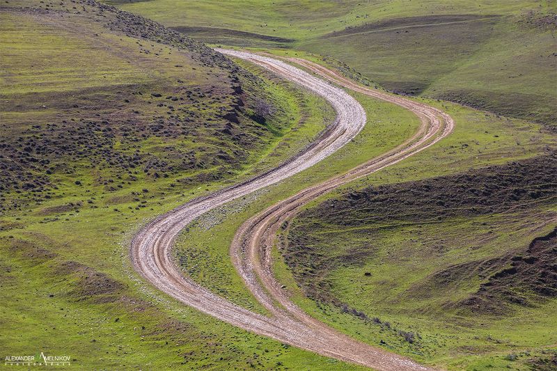 Изгибы фото превью