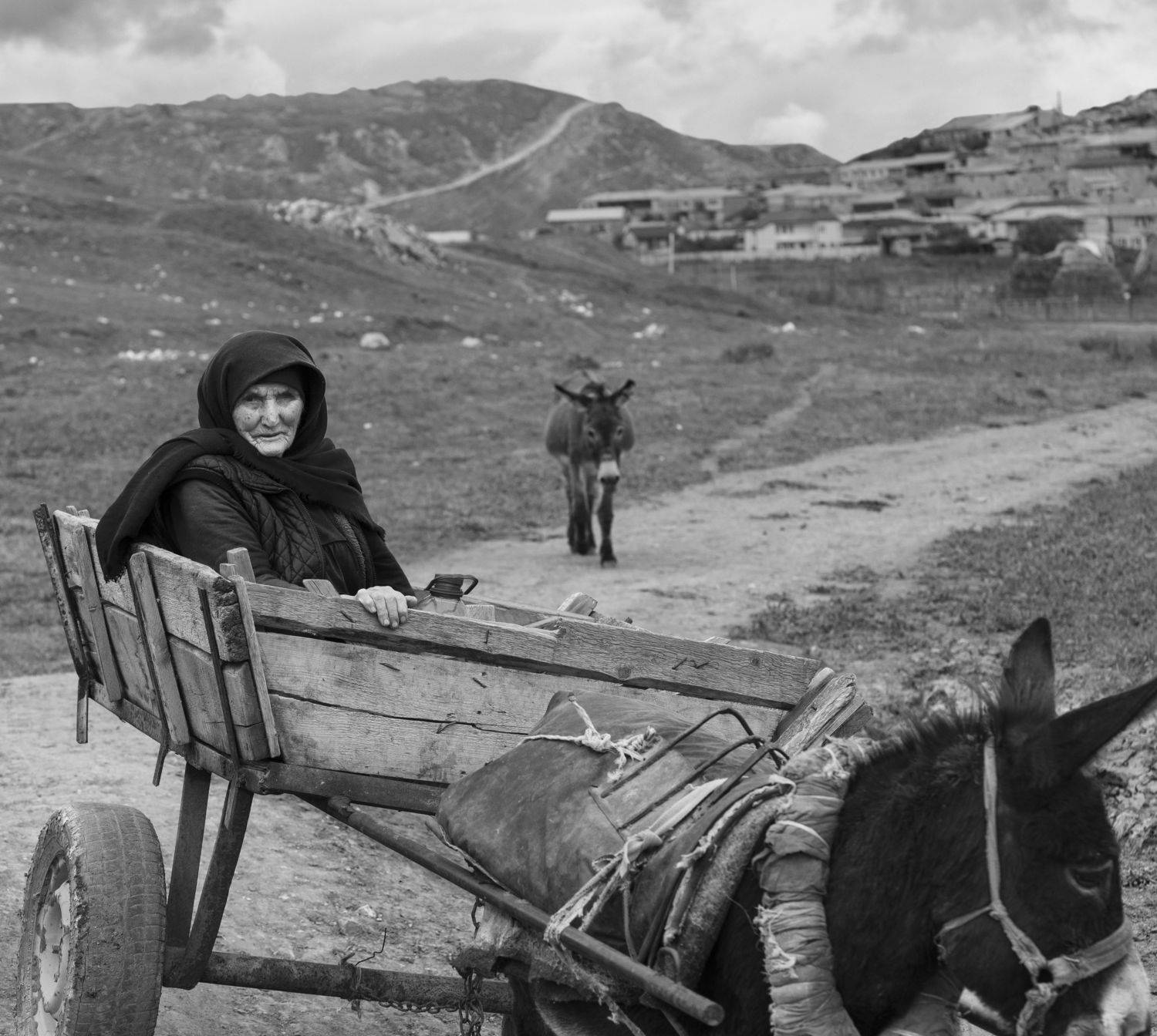 дагестан, балхар, кавказ, село, аул, горы, горцы, люди, быт, традиция, портрет, лицо, глаза, взгляд, повозка, телега, транспорт, дорога, путешествие, тропа, животные, Сергей Козлов