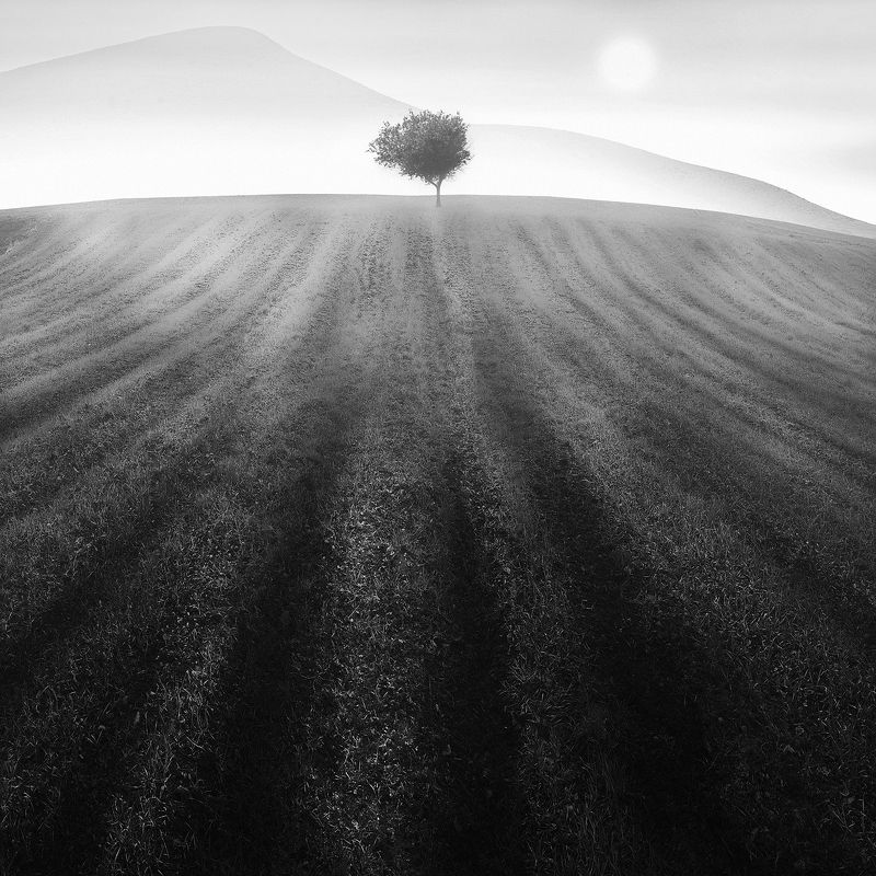 Scratched фото превью