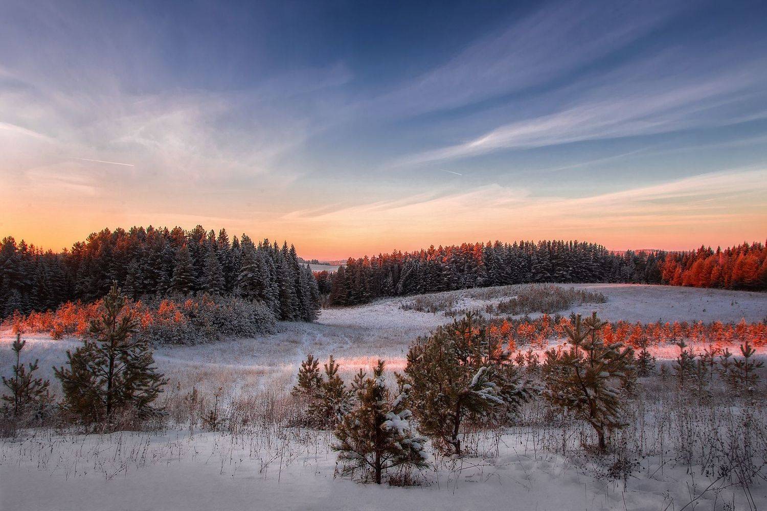 , Vyacheslav Lozhkin