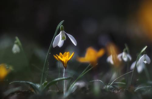 Разговор о весне