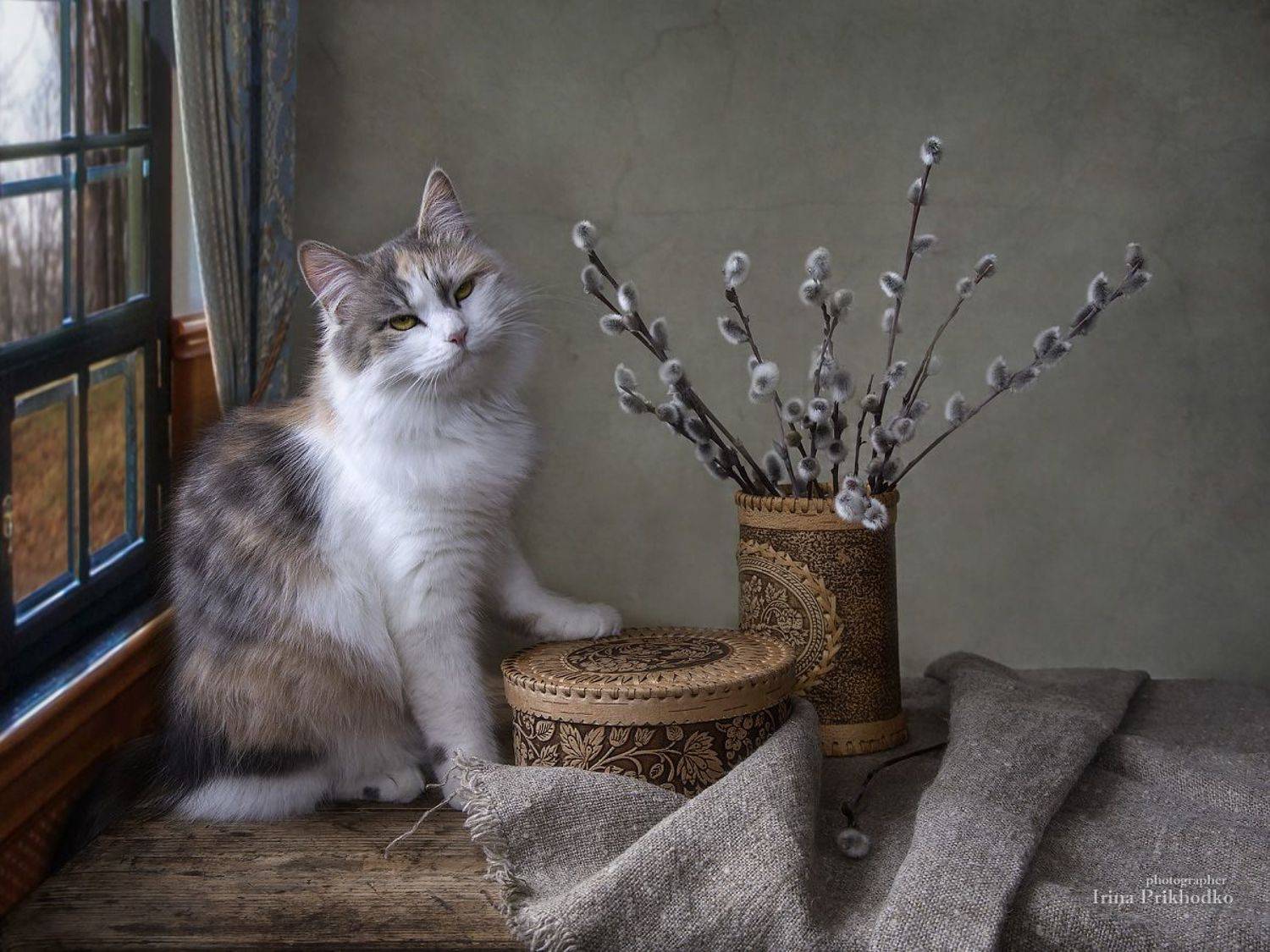 котики, весна, котонатюрморт, постановочное фото, , Приходько Ирина