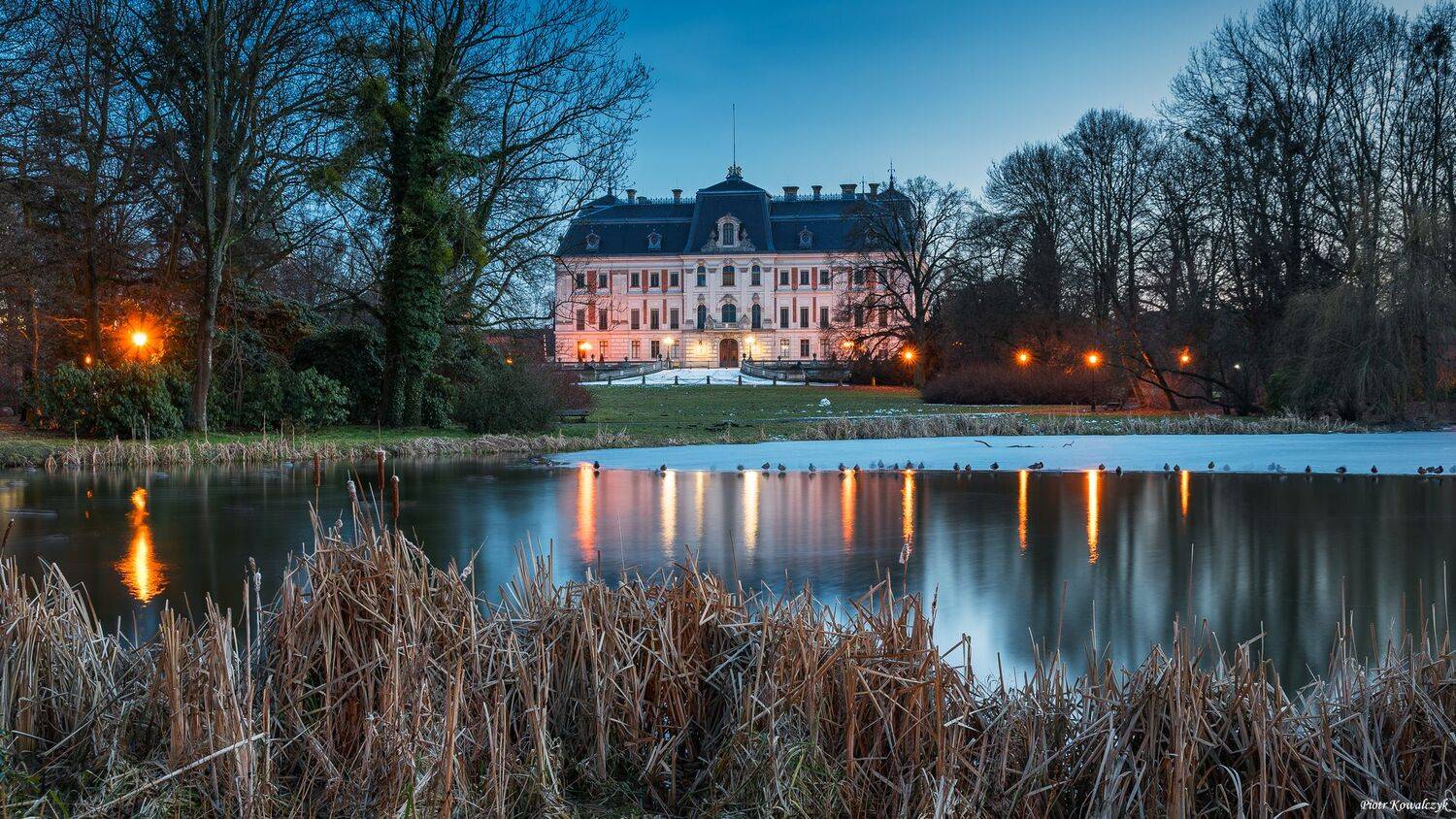 polska, pszczyna, Kowalczyk Piotr