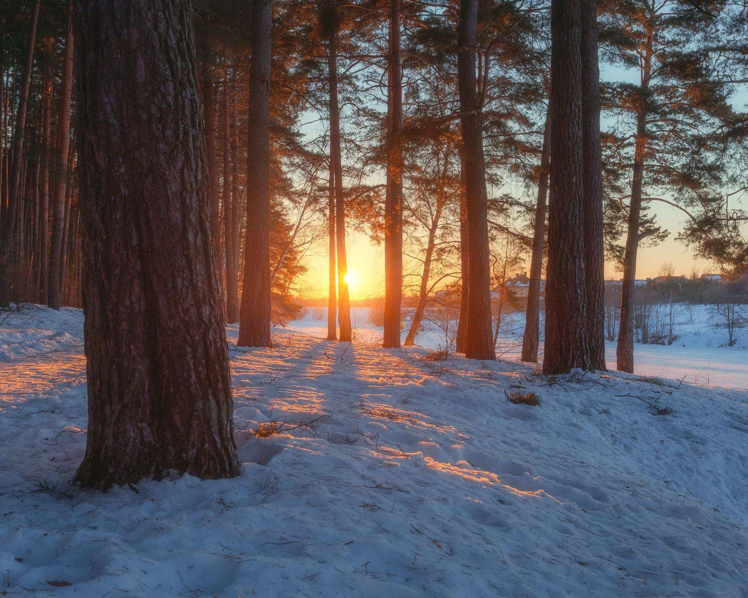 закат, природа, россия, московская область, пейзаж, Мартыненко Дмитрий