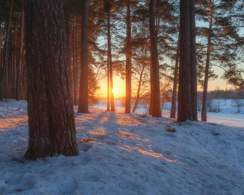А на следующий день наступила весна