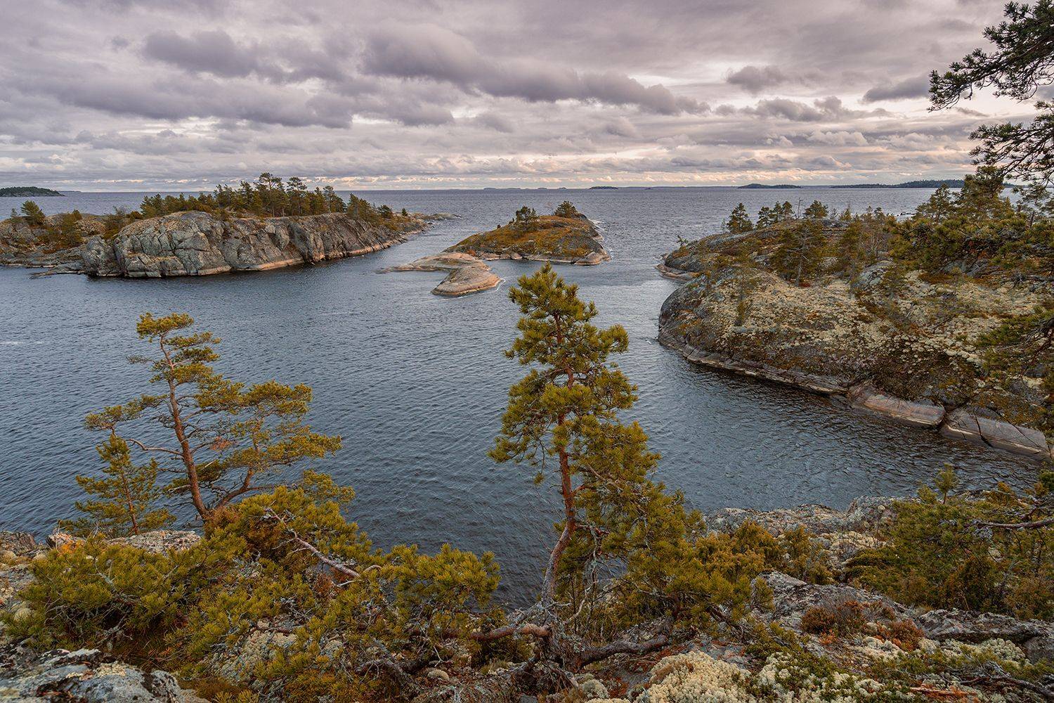 пейзаж, природа, Россия, Карелия, Ладога, шхеры, Лариса Николаевна Дука