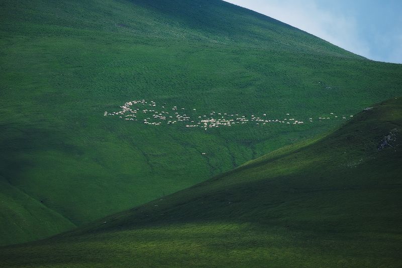 2021 фото превью