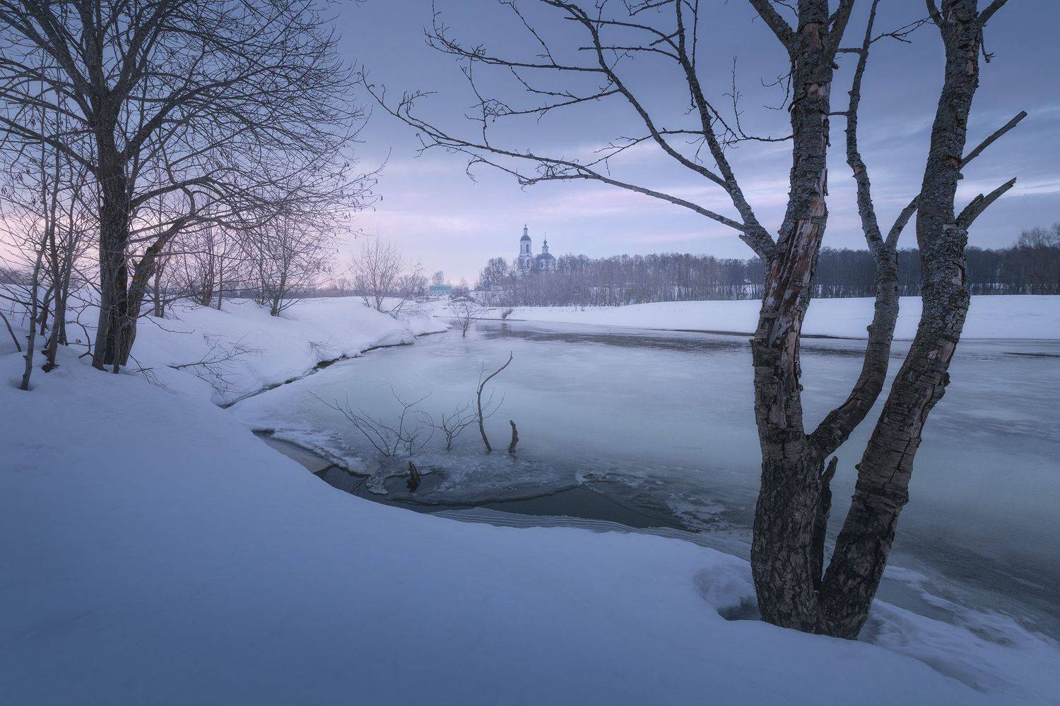 , Анна Политова