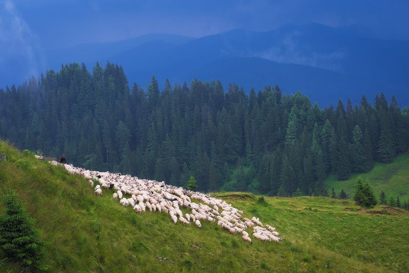 2020 фото превью